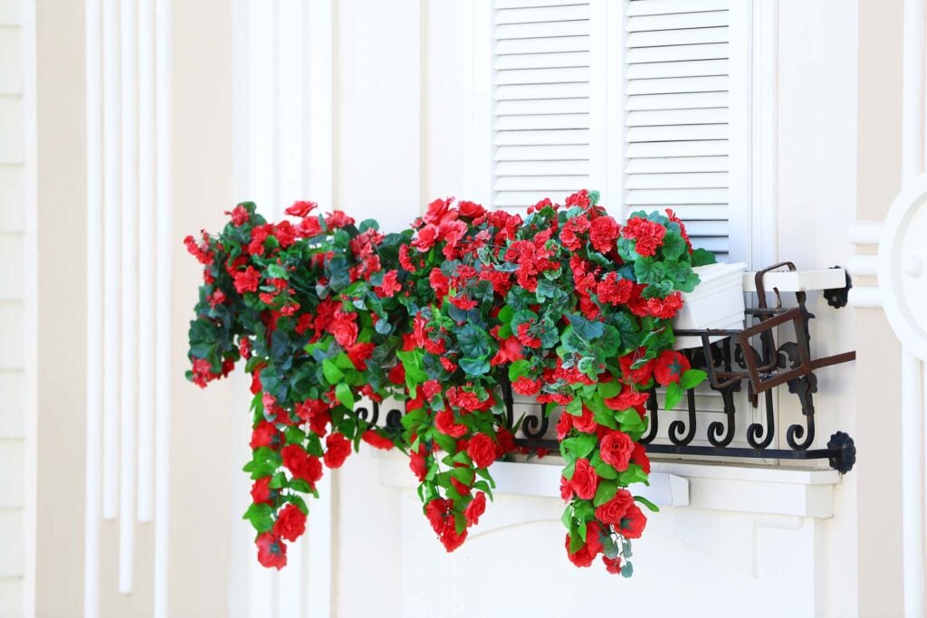 A close-up view of a white louvered shuttered window featuring a black wrought iron