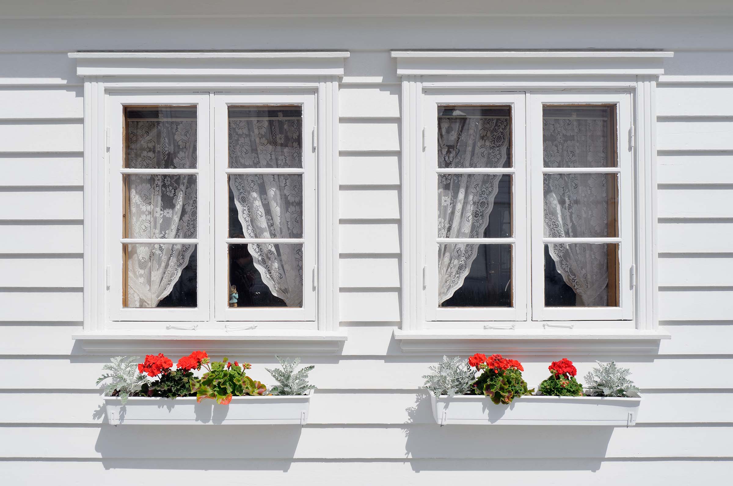 A symmetrical, front-facing view of two white-framed windows on a white clapboard house