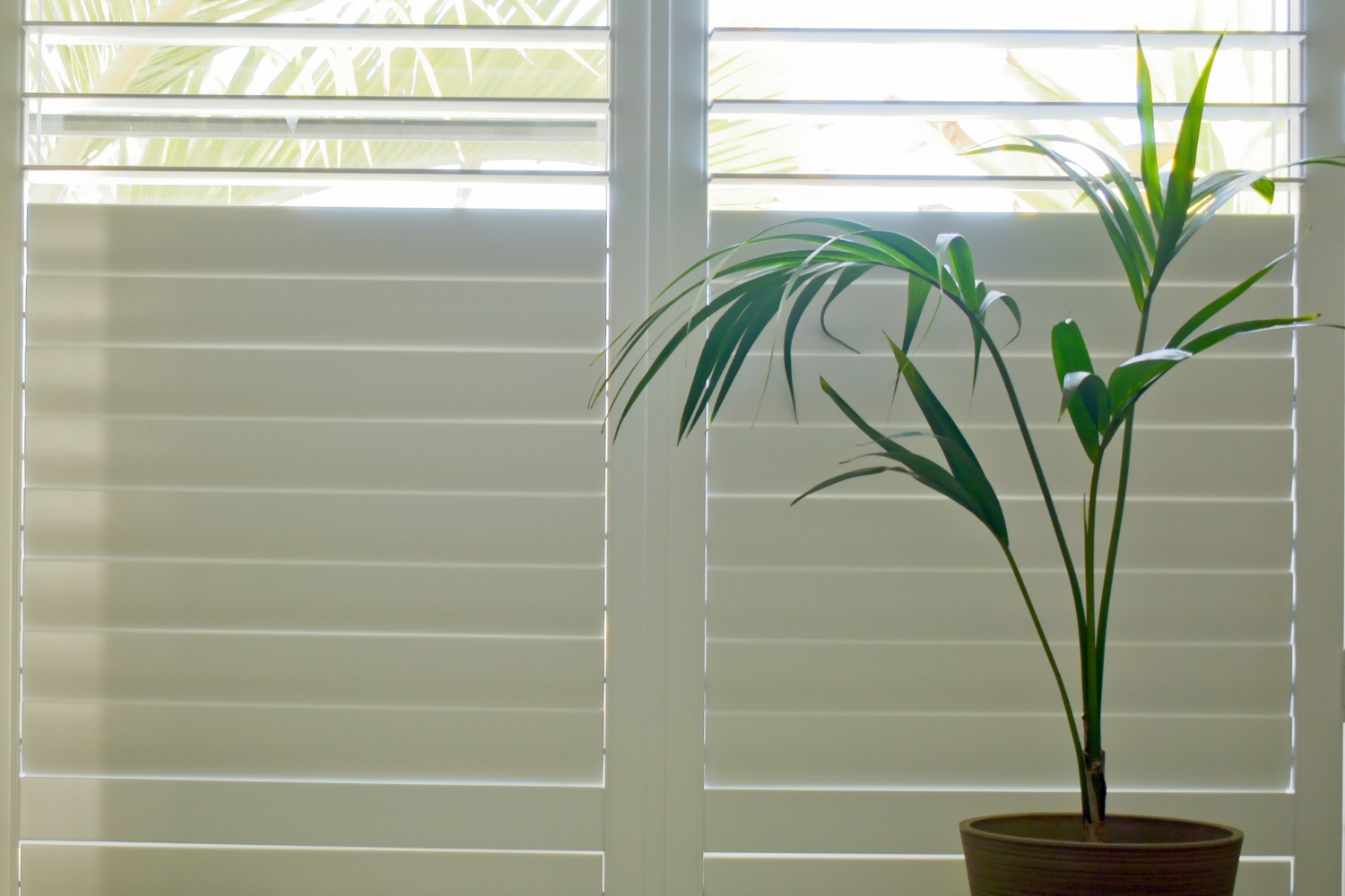 The Benefits of Plantation Shutters: Functionality and Style » Plantation Shutters A Timeless Look That Suits Any Home