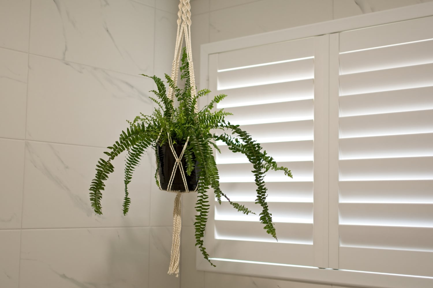 The Benefits of Plantation Shutters: Functionality and Style » Plantation Shutters Durable and Long-Lasting